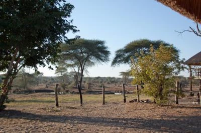 Botswana 2011-1805.jpg