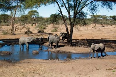 Botswana 2011-2486.jpg