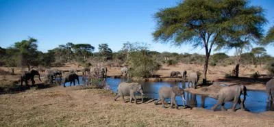 Botswana 2011-2527.jpg