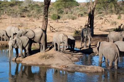 Botswana 2011-2554.jpg