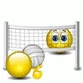 playing volleyball.gif