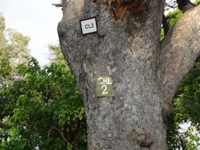 06 Lynanti Campsite 2.jpg