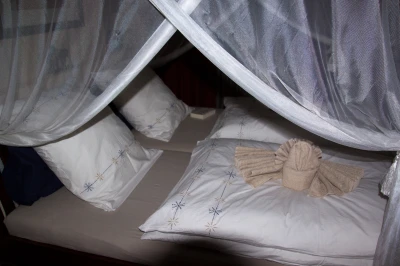 Botswana 2011-0165.jpg