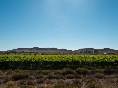 Afrika _20111103 0334_.jpg