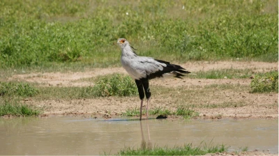 Sekretär-URI am Wasserl÷©÷MR÷011.JPG