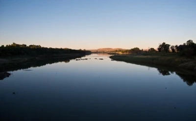DSCN0338.jpg