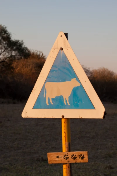 Botswana 2011-0455.jpg