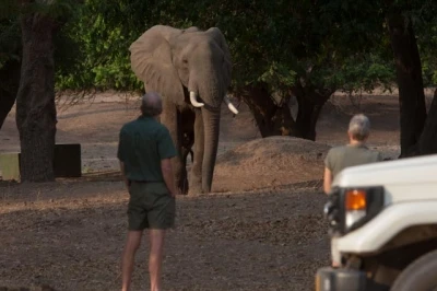 Campsite Besucher.jpg