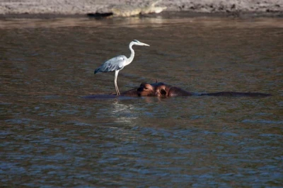 Longpool.jpg