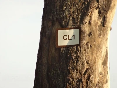 04 Lynanti Campsite 1.jpg