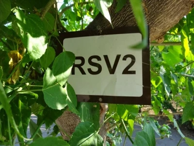 08 Lynanti Reserve Campsite.jpg